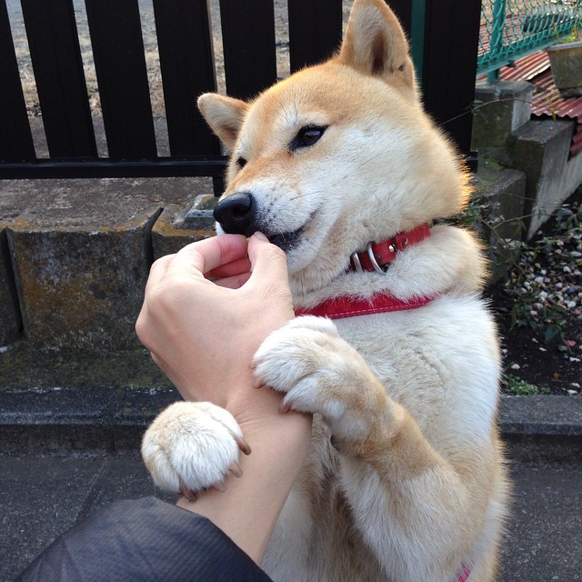 《电竞公益赛:用比赛传递正能量》,电竞 公益